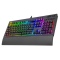 TT Premium X1 RGB Cherry MX Silver Keyboard